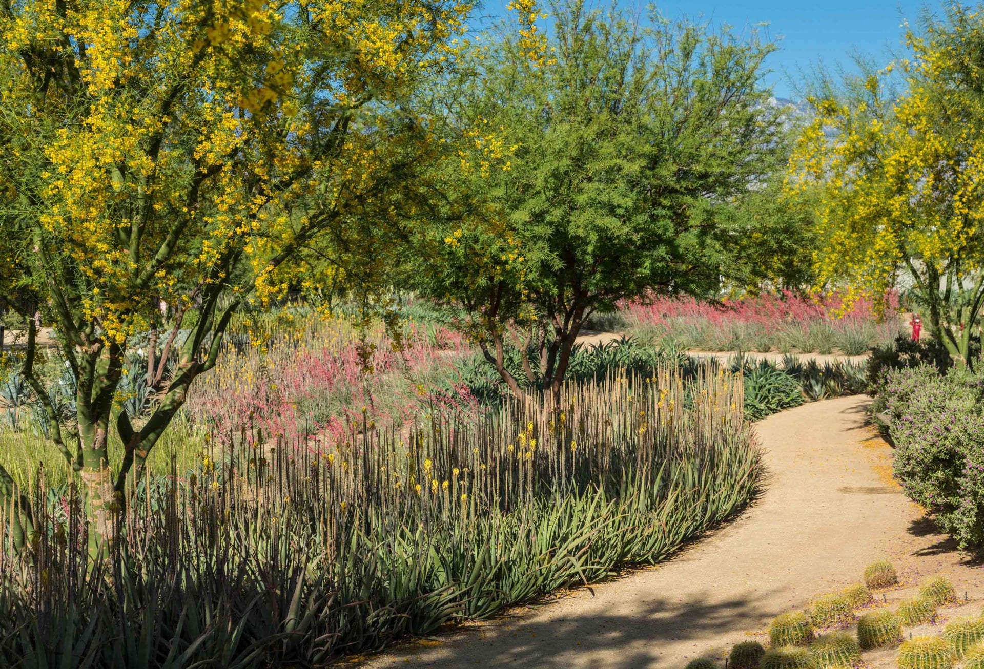 Sunnylands Center and Gardens